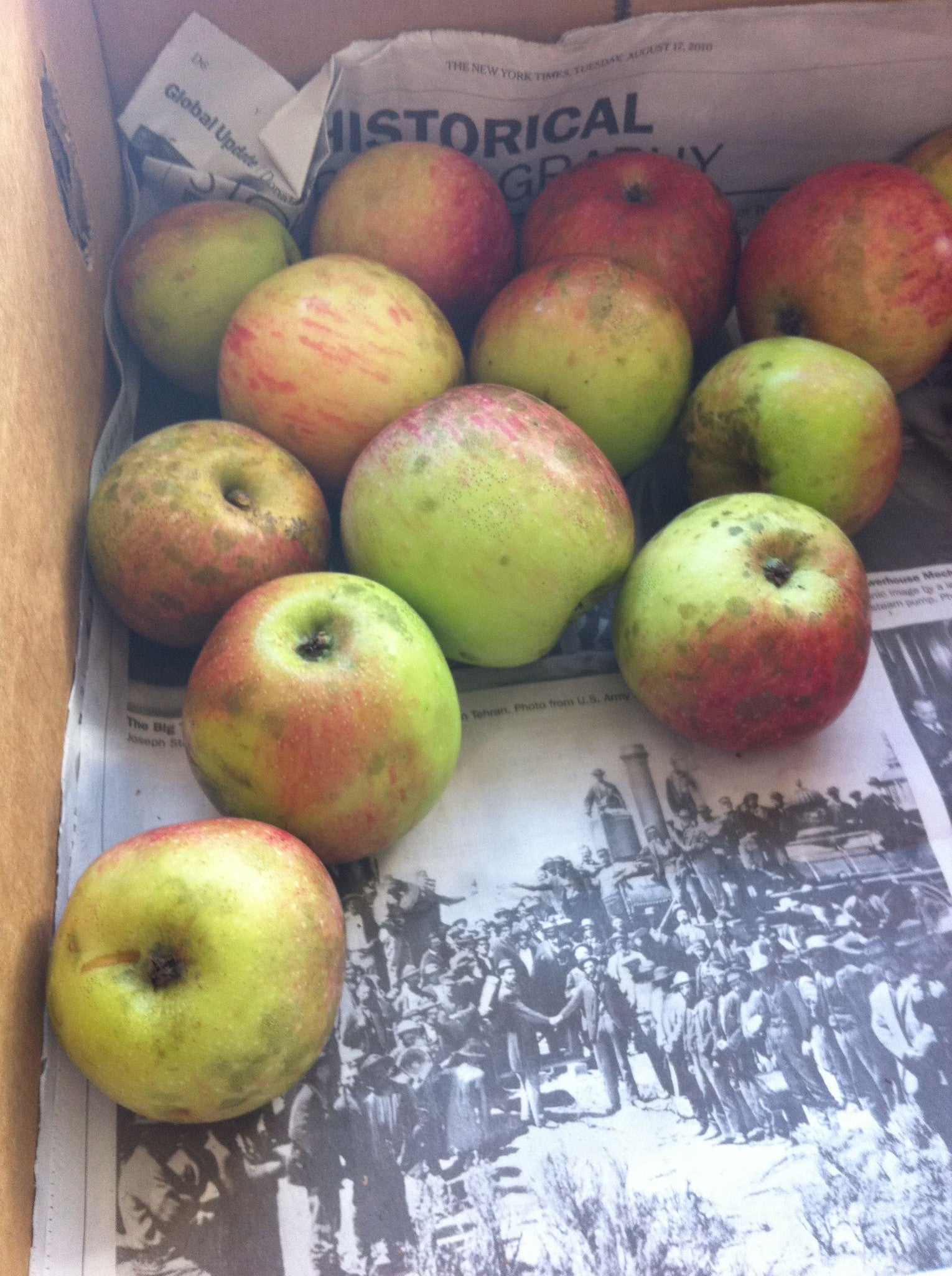 Apples in Sparkling Wine
