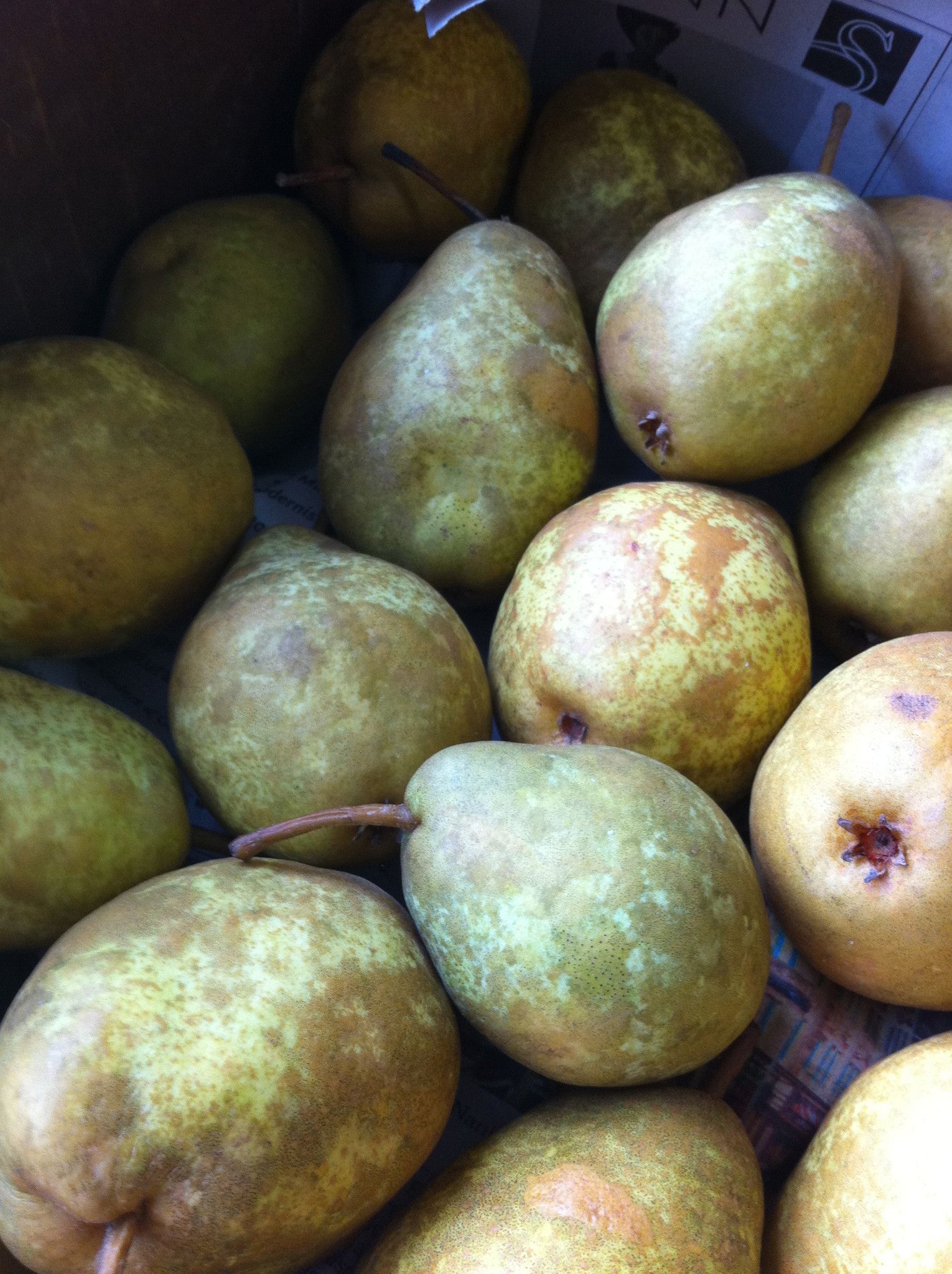 The Artisan at Work – Making Pear Preserves