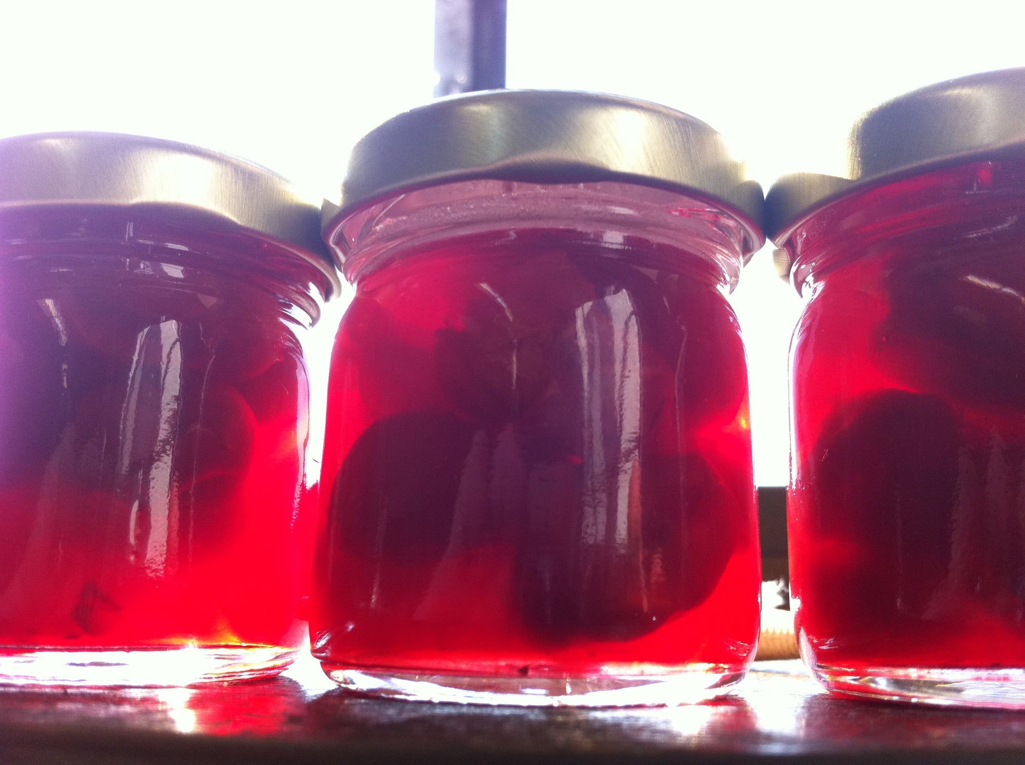 A photobook of Tart Cherry and White Tea